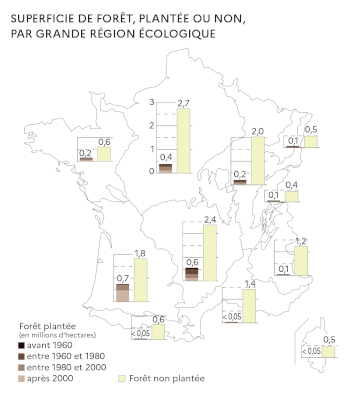 Superficie de forêt, plantée ou non, par grande région écologique