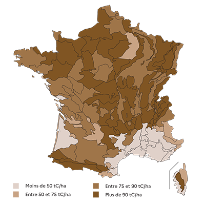 Stock de carbone à l'hectare par sylvoécorégion