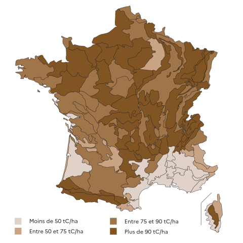 Stock de carbone à l'hectare par sylvoécorégion