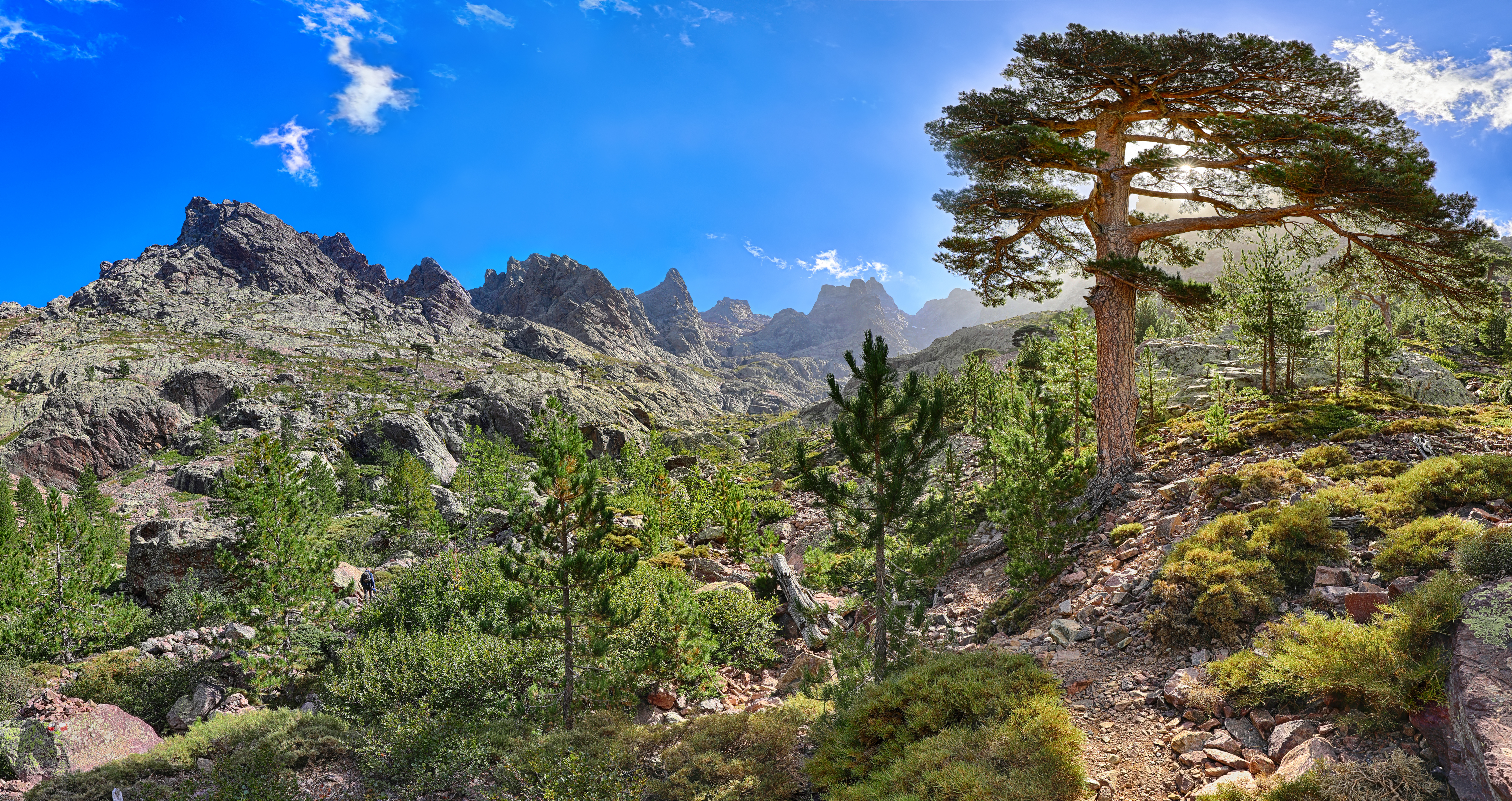 Le sentier de randonnée GR®20 près d'Asco