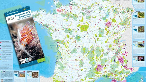 Carte " Panorama de la biodiversité et des aires protégées "