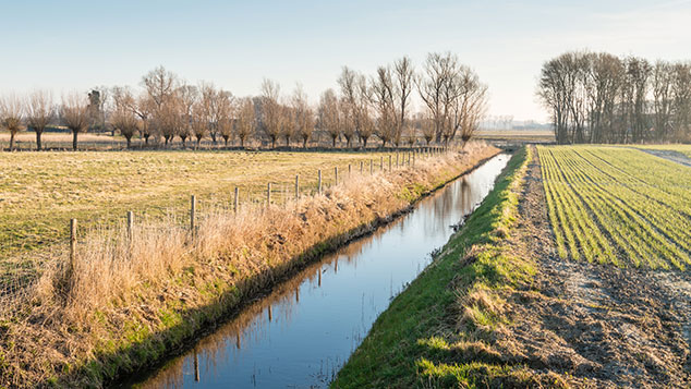 Cours d'eau